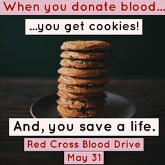 Banner Image for Red Cross Blood Drive